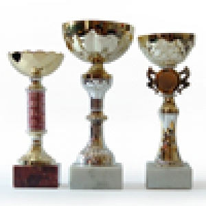 fd8b0f77d767f1f6640afba6916ff67c_Generic.jpg