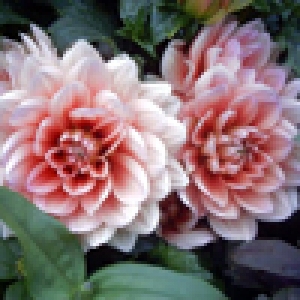 a27a3b73d355048c6bab885897085f62_Generic.jpg