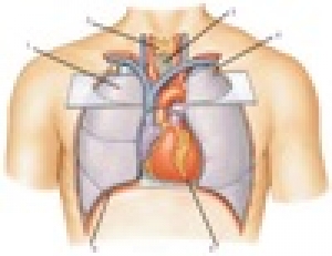 f0ba2bfd8f936a77d3b146acfe9443c7_Generic.jpg