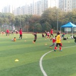 IMG_20161113_151618