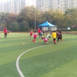 IMG_20161113_151620