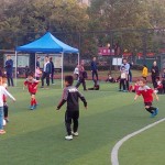 IMG_20161113_160708