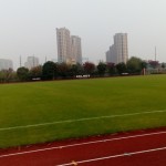 IMG_20161114_142627