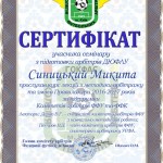 Синицький